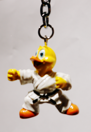 Ente-Karate - Schlüsselanhänger