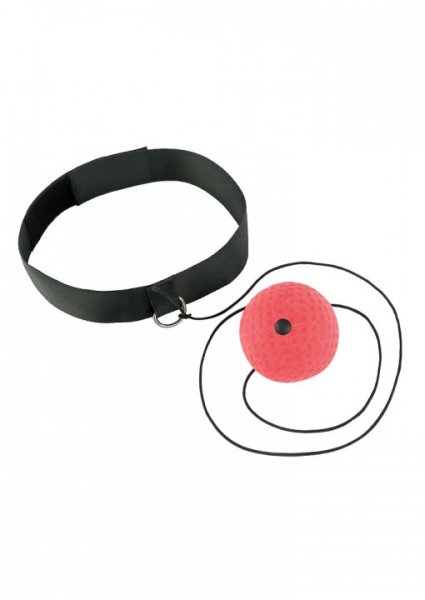 Focus reflex ball with elastic band, adjustable